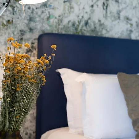 Casa Lou Guest house Olmeto (Corsica)